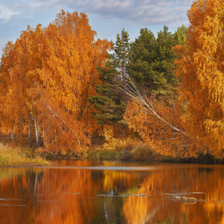 Пазл: Осень золотая