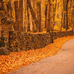 Пазл: Дорога, усыпанная золотом