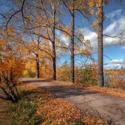 Пазл: Солнечный день осени