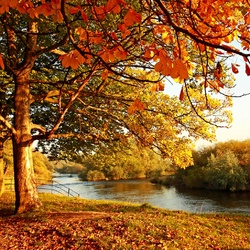 Пазл: Осенний солнечный день