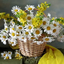 Пазл: Ромашки