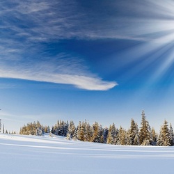 Пазл: Зимнее солнце