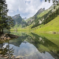 Пазл: Очарование природы