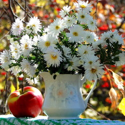 Пазл: Яркий цвет осени