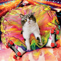 Пазл: Королева танцпола