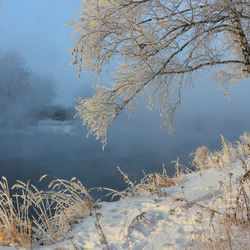 Пазл: Зима в природе