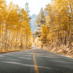 Пазл: Дорога идущая в осень