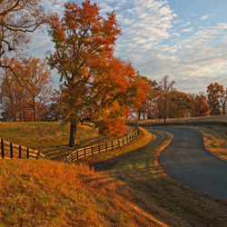 Пазл: Ограда вдоль дороги