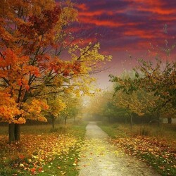 Пазл: Осенняя дорожка