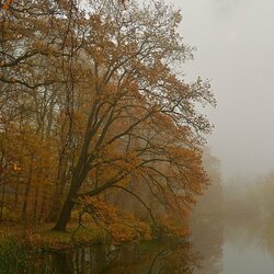 Пазл: Неизвестность