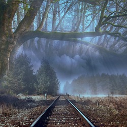 Пазл: Невидимый поезд