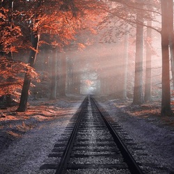 Пазл: Рельсы в лесу