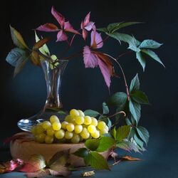 Пазл: Фотонатюрморт