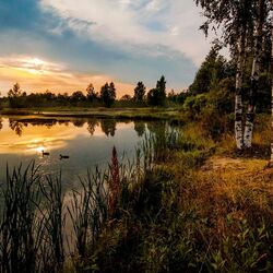 Пазл: Лесное озеро