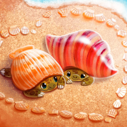 Пазл: Морские ракушки