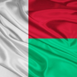 Пазл: Флаг Мадагаскара 