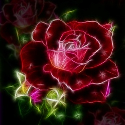 Пазл: Красная роза