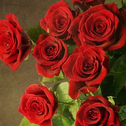 Пазл: Аромат роз