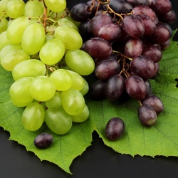 Пазл: Темное и светлое