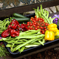 Пазл: Дары природы