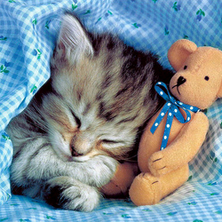 Пазл: Сладких снов