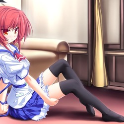 Пазл: Чулка