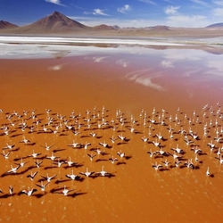 Пазл: Лагуна Колорадо