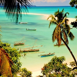 Пазл: Мадагаскар