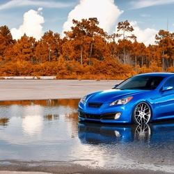 Пазл: По воде