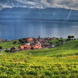 Пазл: Деревушка