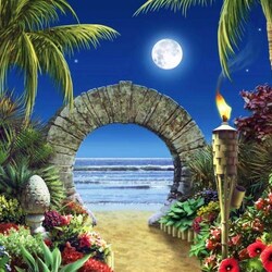 Пазл: Полнолуние