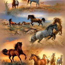 Пазл: Лошади