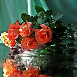 Пазл: Отражение