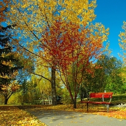 Пазл: Краски осени