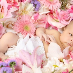 Пазл: Цветок жизни