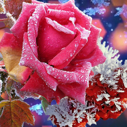 Пазл: Зимняя фантазия