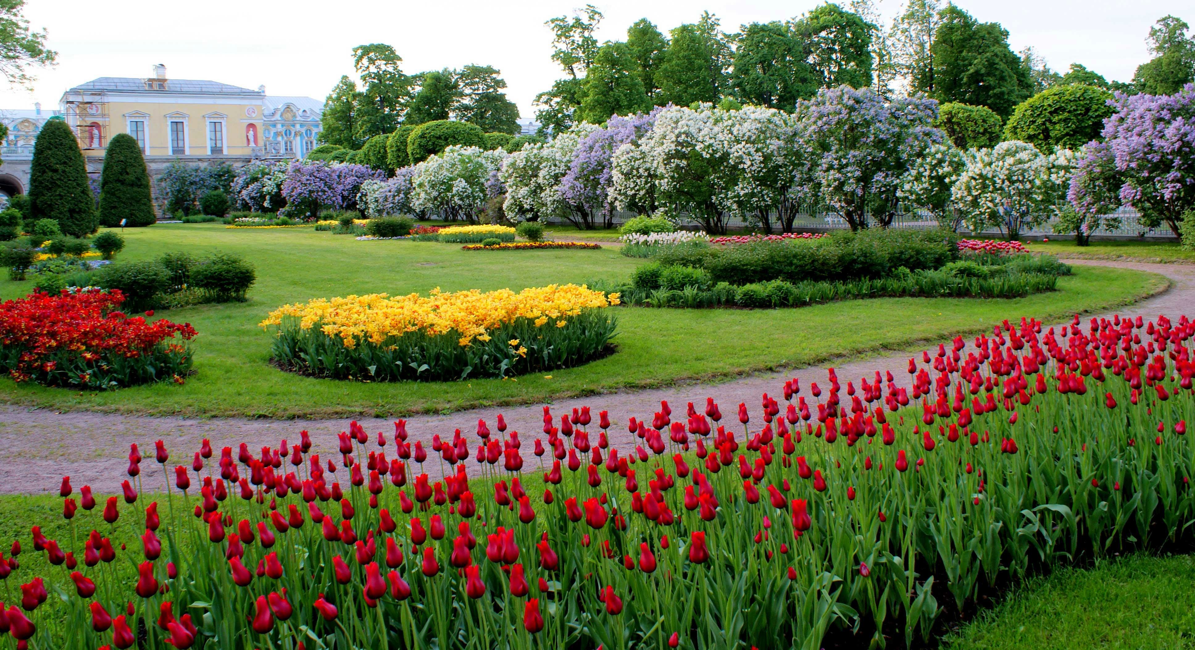 Екатерининский дворец парк цветы