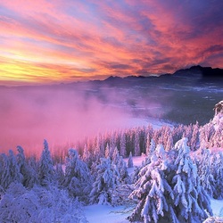 Пазл: Зима в горах