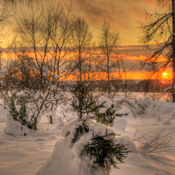 Пазл: Зимний закат