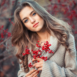 Пазл: Рябины ветки