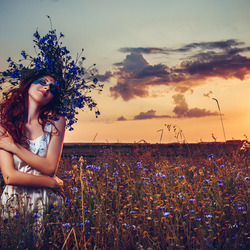 Пазл: Летний вечер в поле