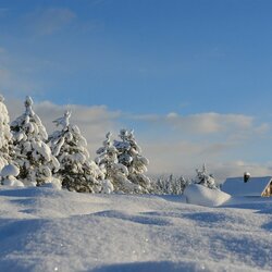 Пазл: Зимний пейзаж