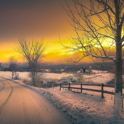 Пазл: Зимняя дорожка