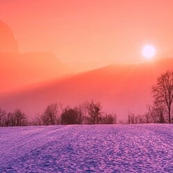 Пазл: Алая заря