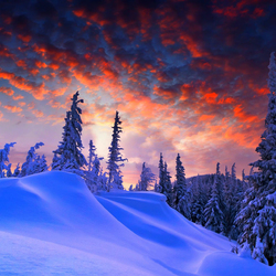 Пазл: Зимний вечер