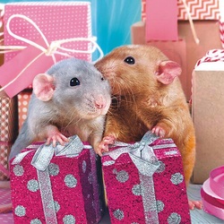 Пазл: Подарки под ёлку 