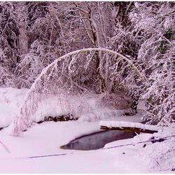 Пазл: Зимой на речке
