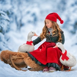 Пазл: С утками на санках