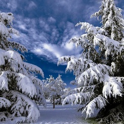 Пазл: Сказочный лес