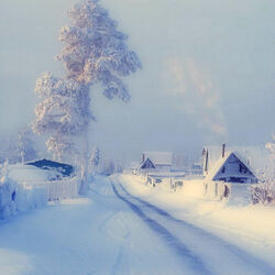 Пазл: Белым - бело